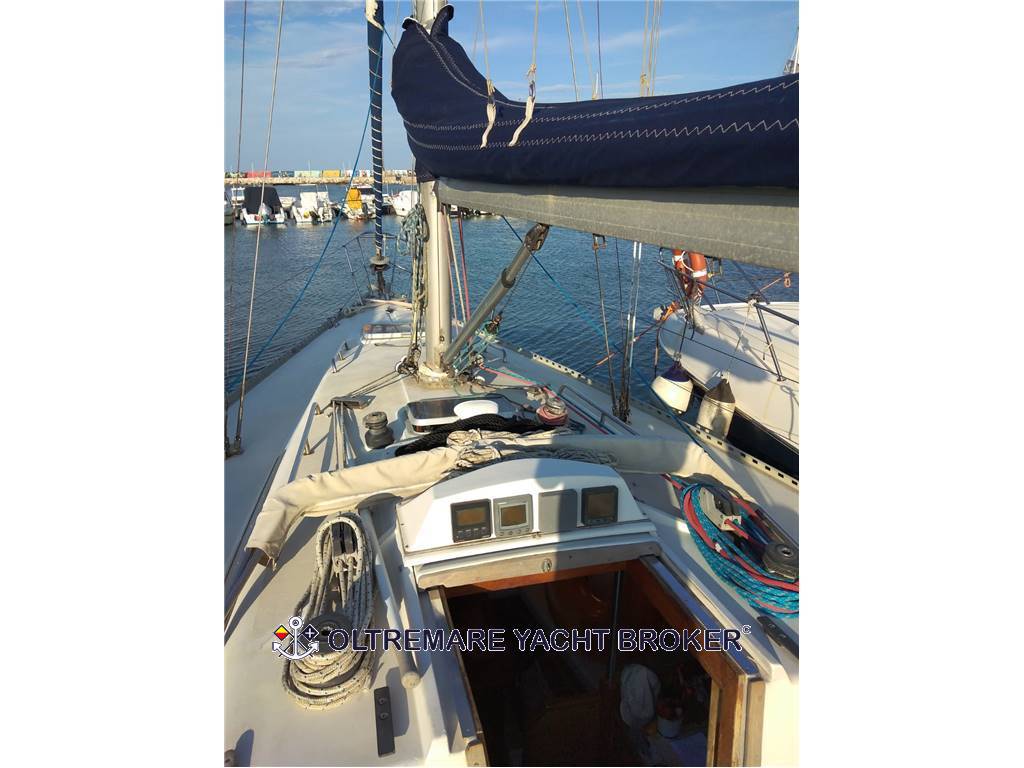 Oyster marine Oyster 37