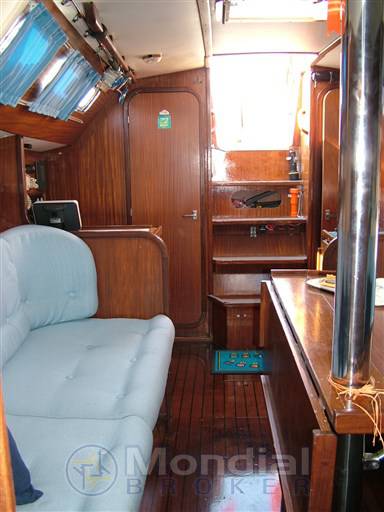 Elan 31 s