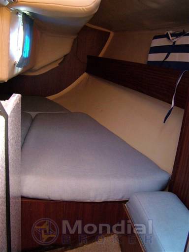 Elan 31 s