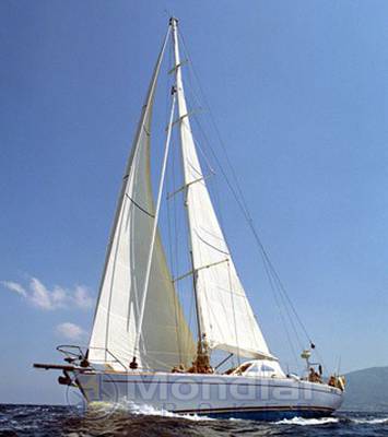 Stella polare Starkel 64