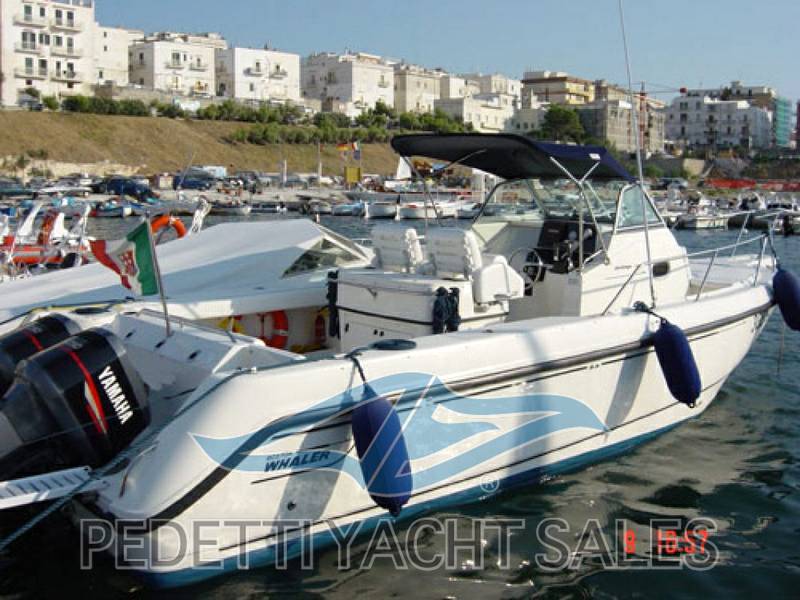 Boston whaler 28 outrage