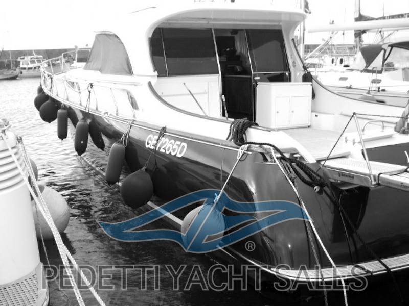 Mochi craft Dolphin 51