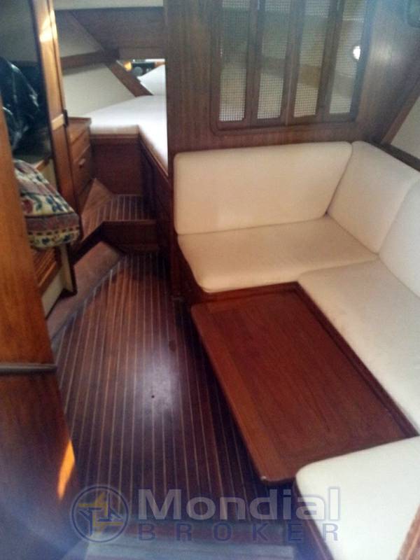 Tiara 31 open