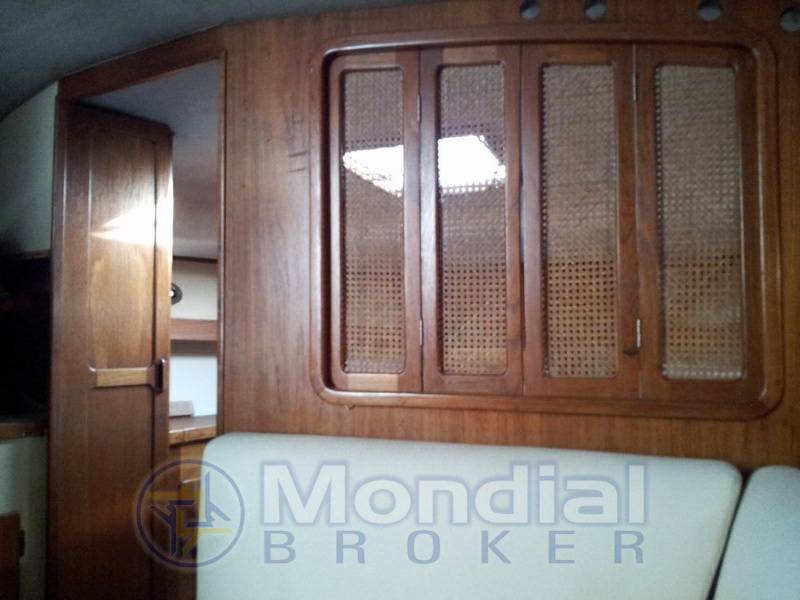 Tiara 31 open