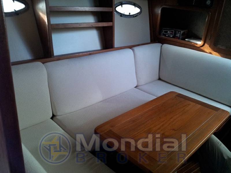Tiara 31 open