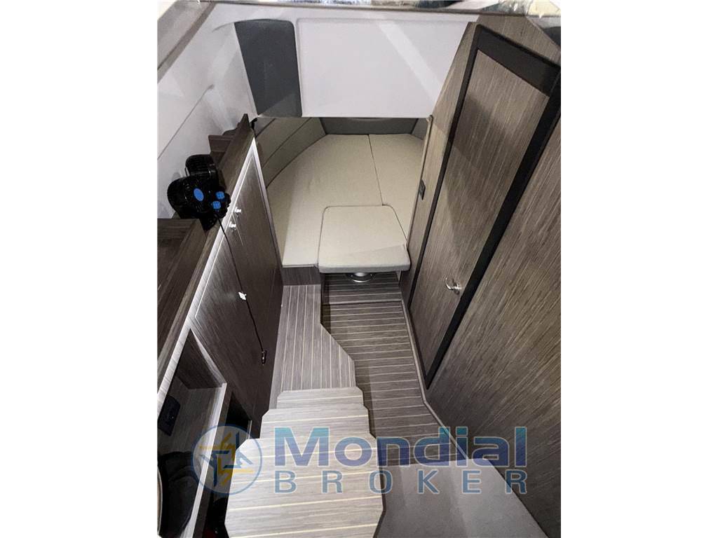 Ranieri international Next 330 lx