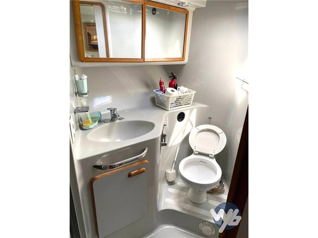Sea ray 420