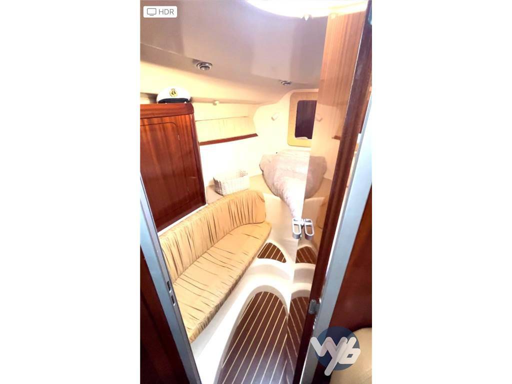 Salpa Laver 31.5