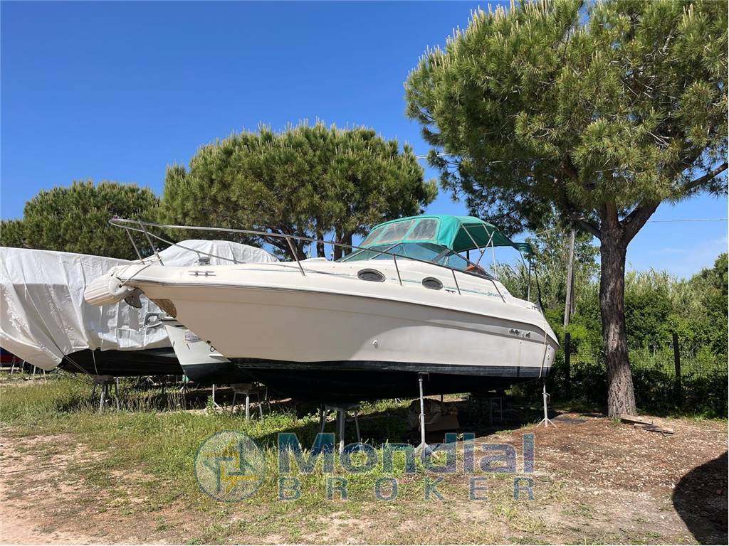 Sea ray 250 sundancer