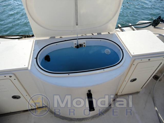 Cobia 236 wa