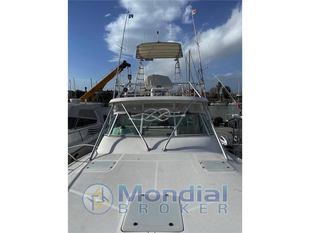Luhrs 360 open