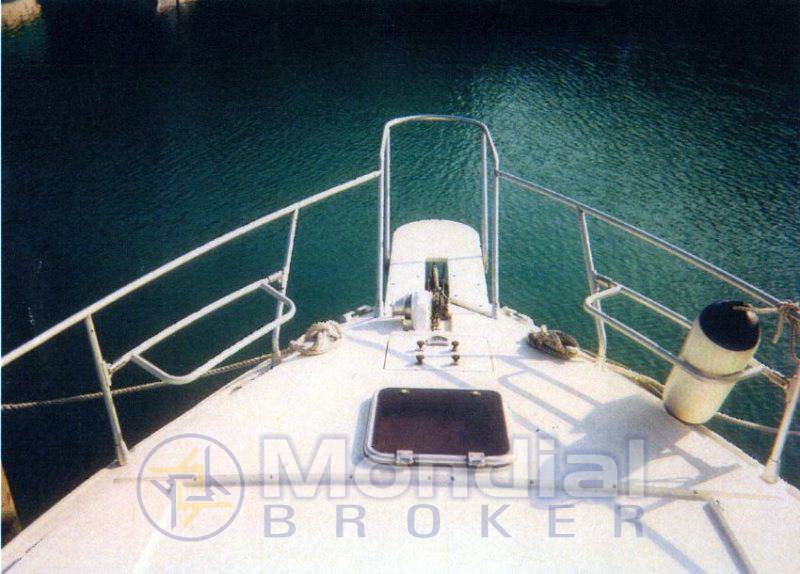 Mochi craft Dominator 38 fly