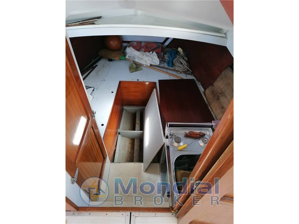 Mochi craft- pesaro Sport fisherman