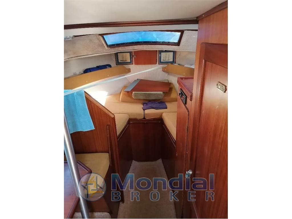Automarine Tortuga 27