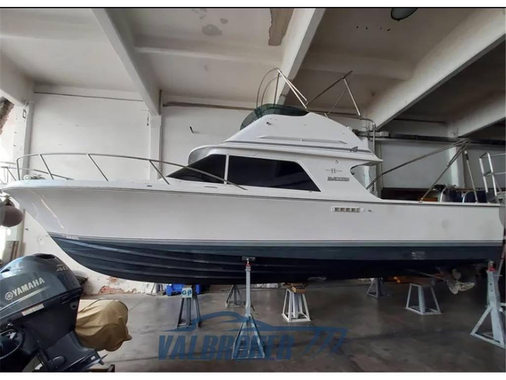 Blackfin 29