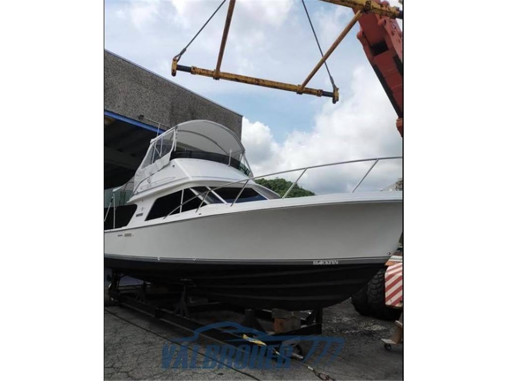 Blackfin 29