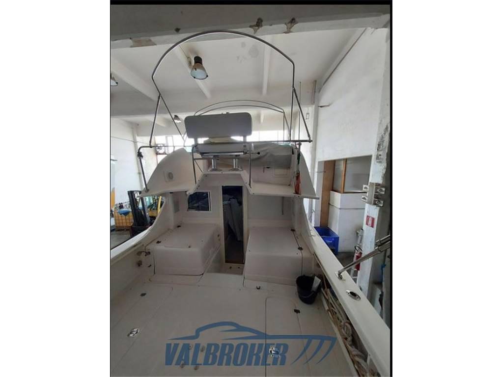 Blackfin 29