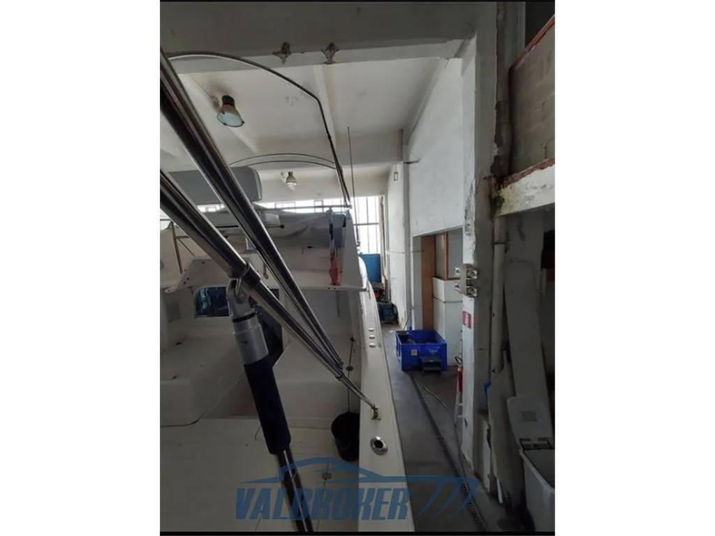 Blackfin 29