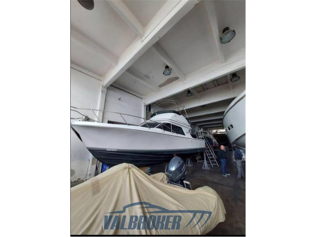 Blackfin 29