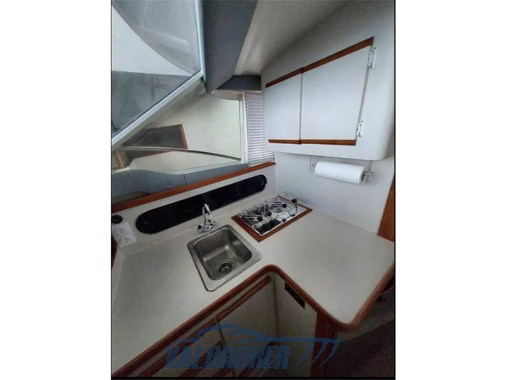 Blackfin 29