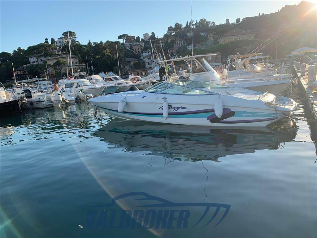 Baja marine 270