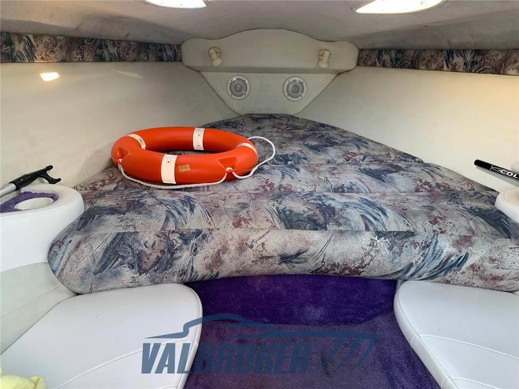 Baja marine 270