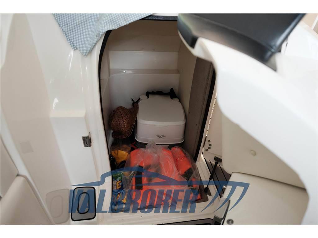 Sea ray 250 slx
