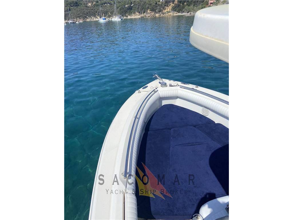 Robalo 260 cc