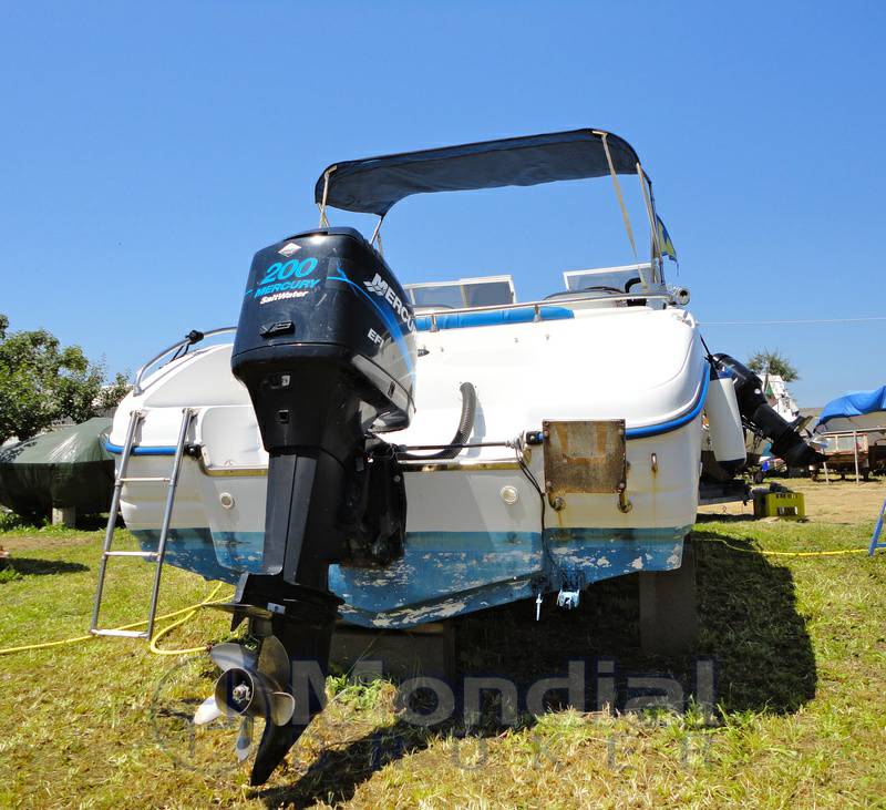 Ranieri Sea lady 23