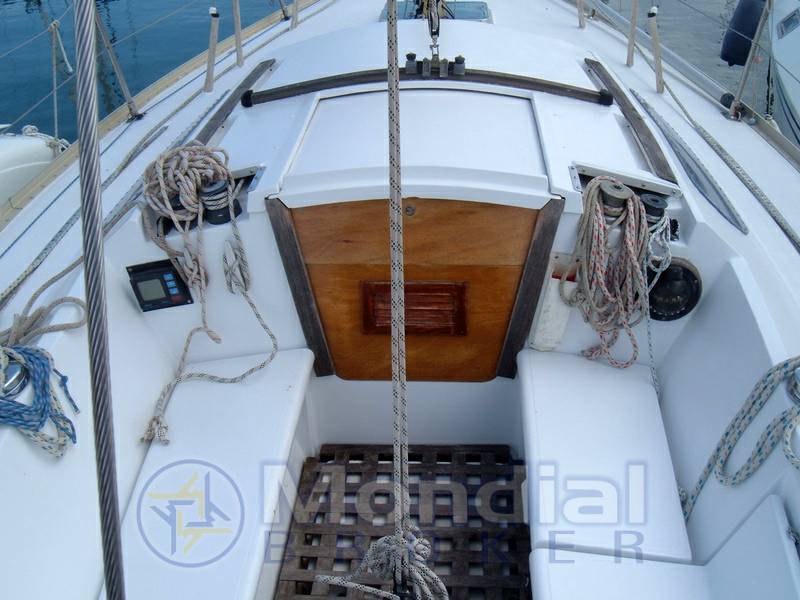 Aloa marine Aloa 29