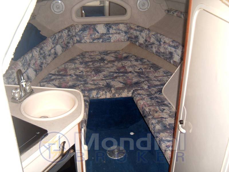 Sea ray boats Sundancer 240