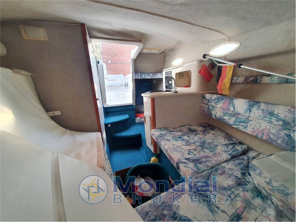 Sea ray 240 da sundancer