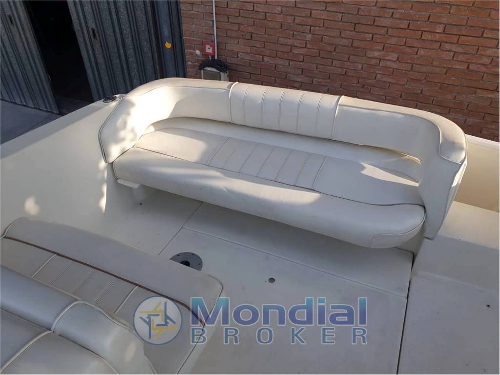 Sea ray 240 da sundancer