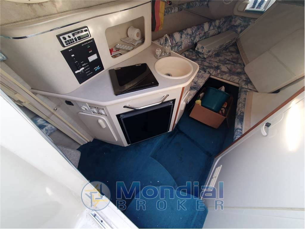 Sea ray 240 da sundancer