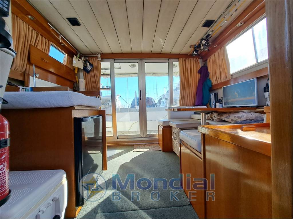 Piantoni Onda azzurra
