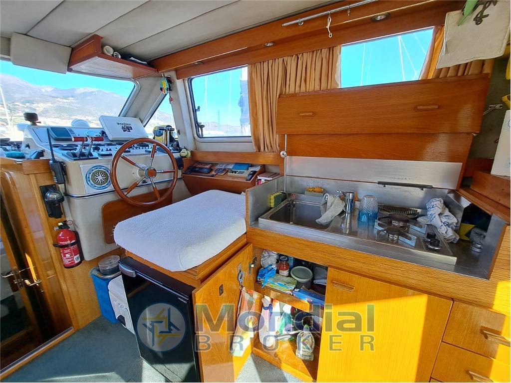 Piantoni Onda azzurra