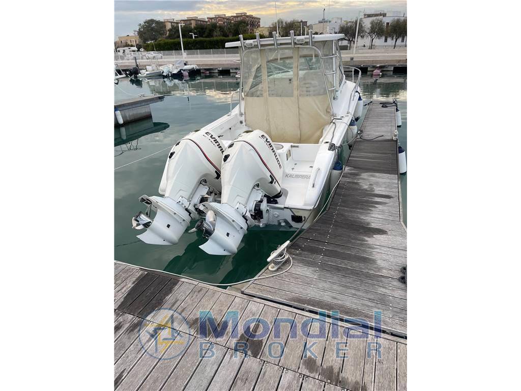 Sea pro 270 express wolkraund