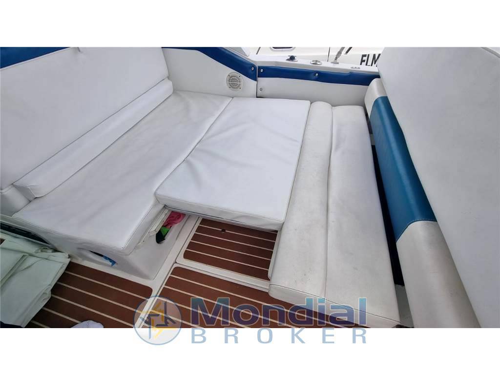 Sea ray 250 da