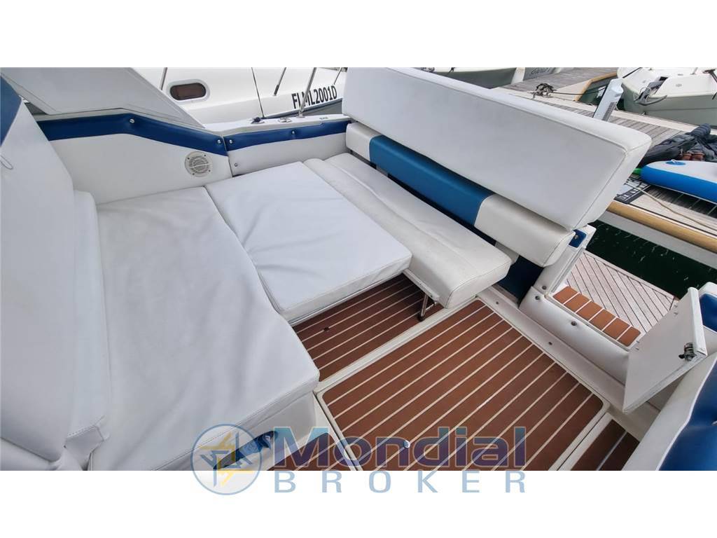 Sea ray 250 da