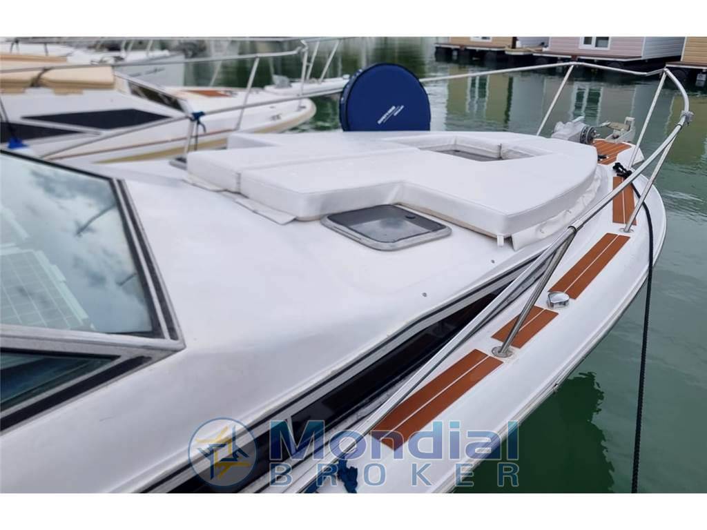 Sea ray 250 da