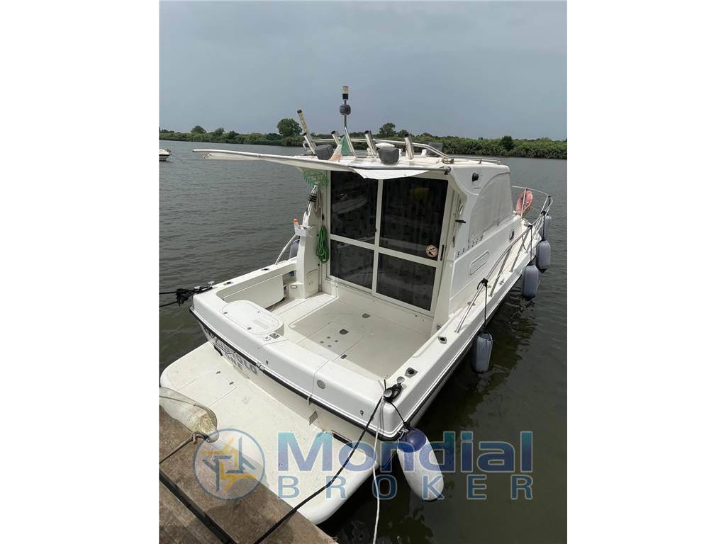 Plastik Space 290 cruiser