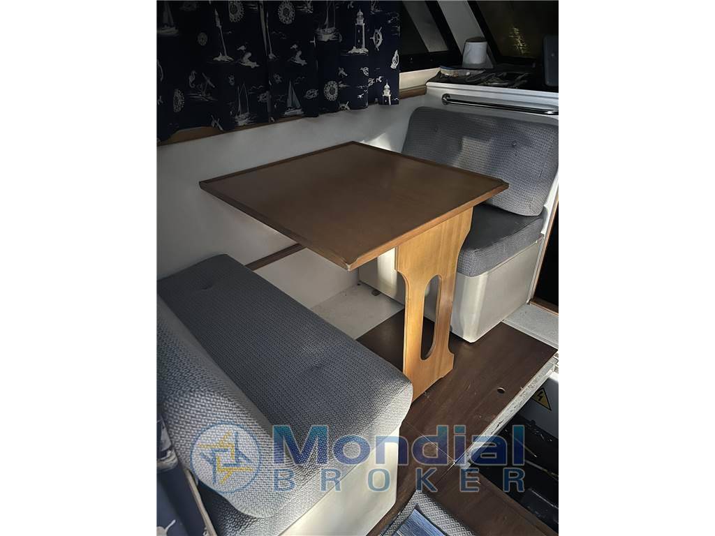 Plastik Space 290 cruiser