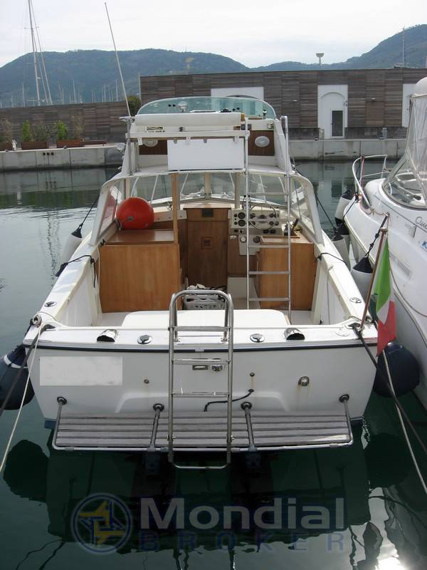 Bertram 25 fly