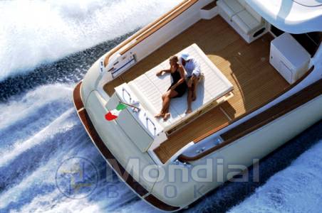 Mochi 51 dolphin
