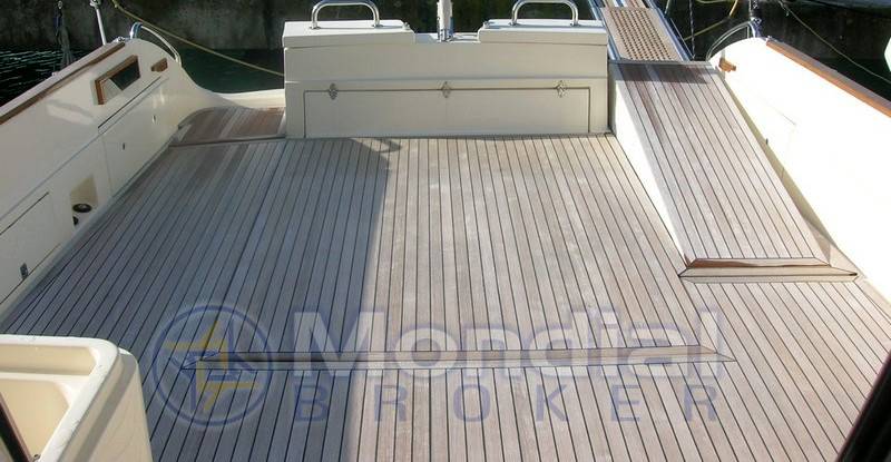 Mochi 51 dolphin