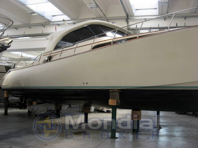 Mochi 51 dolphin