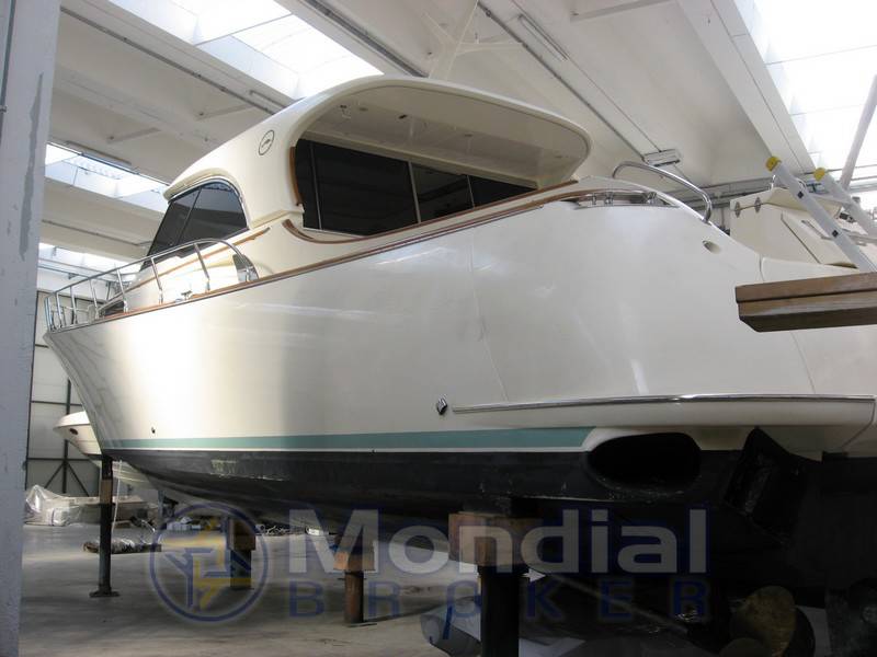Mochi 51 dolphin