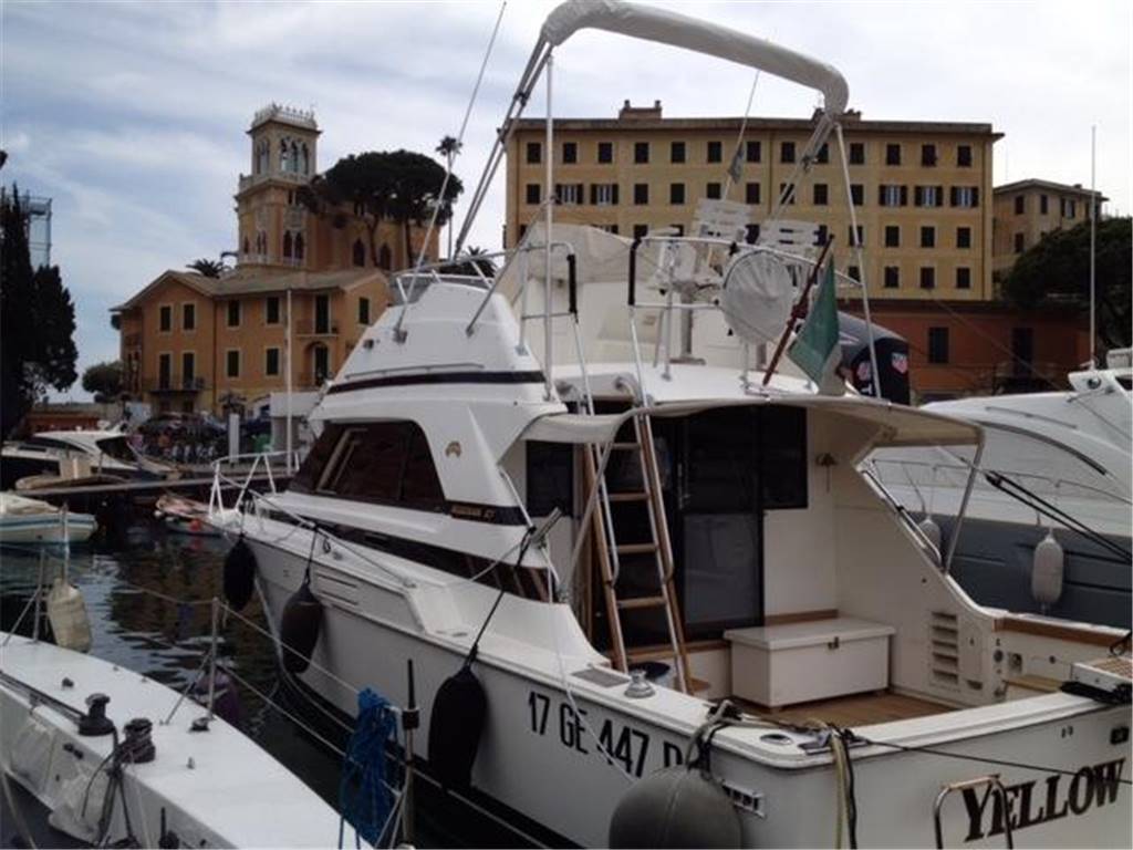 Bertram 37