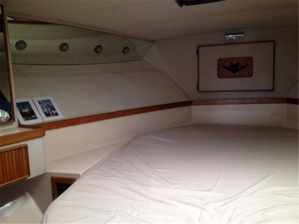 Bertram 37