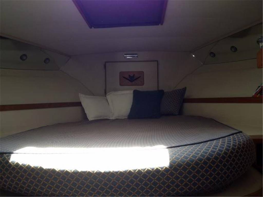 Bertram 37